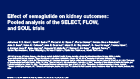 mann_asn25_pooled_ckd_meta-analysis_eposter_slides_final