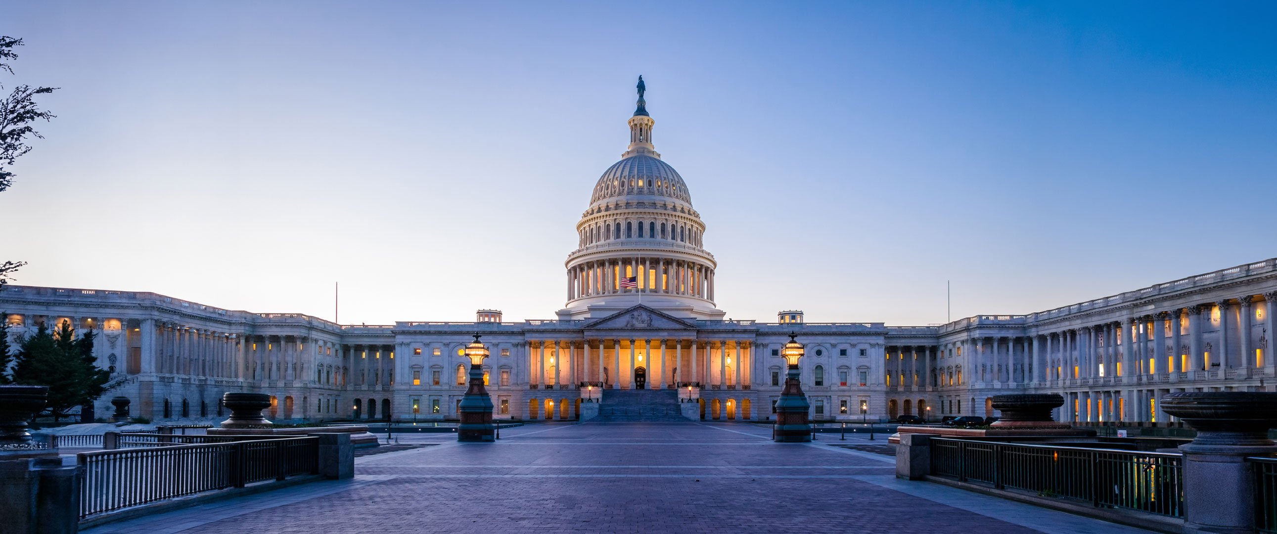 Congress banner